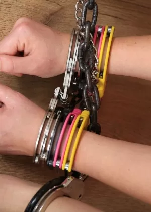 Тори Лейн и Майя Николь оказываются один на один с членом тюремной птицы