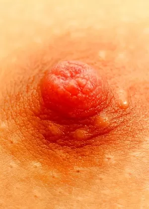 Горячая блондинка Синди Доллар обнажает свои сиськи и задницу в лесу после секса дома