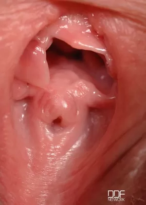 Пизда: Крупным планом фото 55